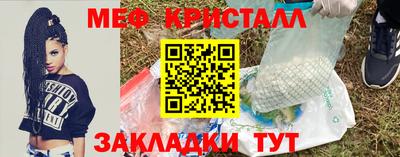 прущие грибы Дубна